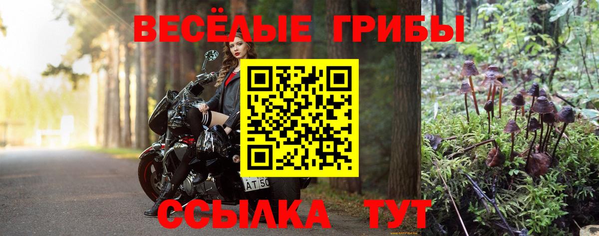 Галлюциногенные грибы MAGIC MUSHROOMS Нурлат