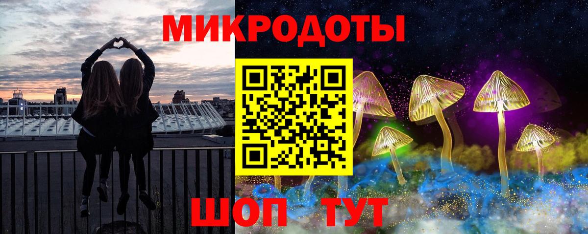 Псилоцибиновые грибы прущие грибы  Вход с VPN  Нурлат  Галлюциногенные грибы Psilocybe 